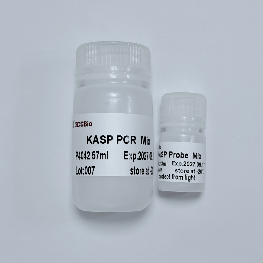 KASP PCR MixPlus