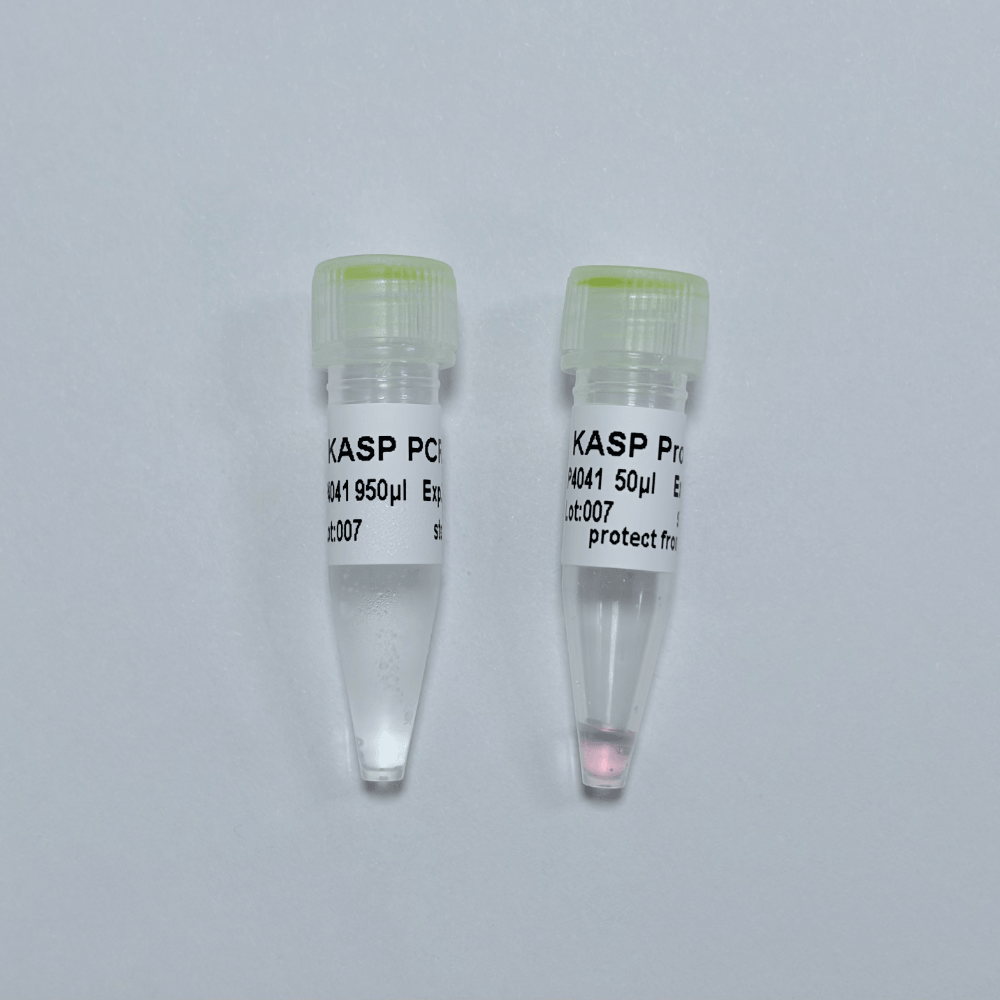KASP PCR MixPlus