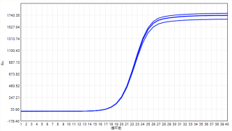 ee4585d7fc9336cd3ee2d7920ffb0321-1